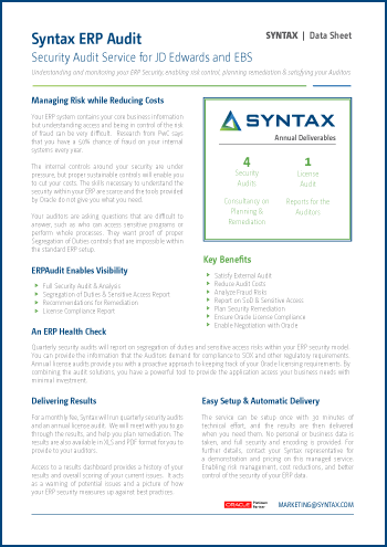 SYN_DS_ERP-Audit_thumb350 SYN_DS_ERP-Audit_thumb350