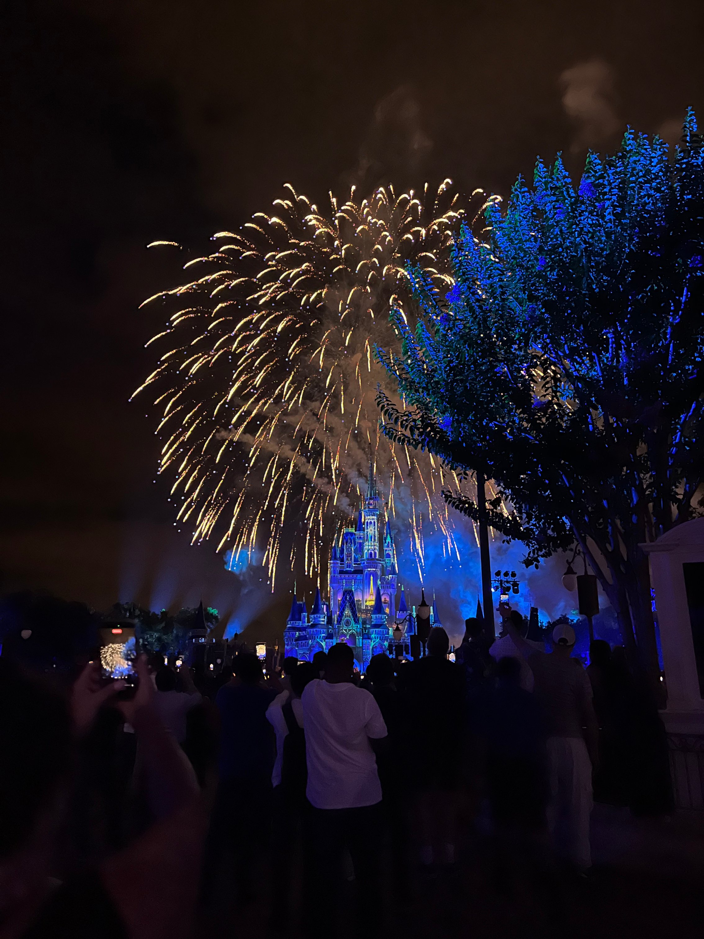 Celebration Night Fireworks