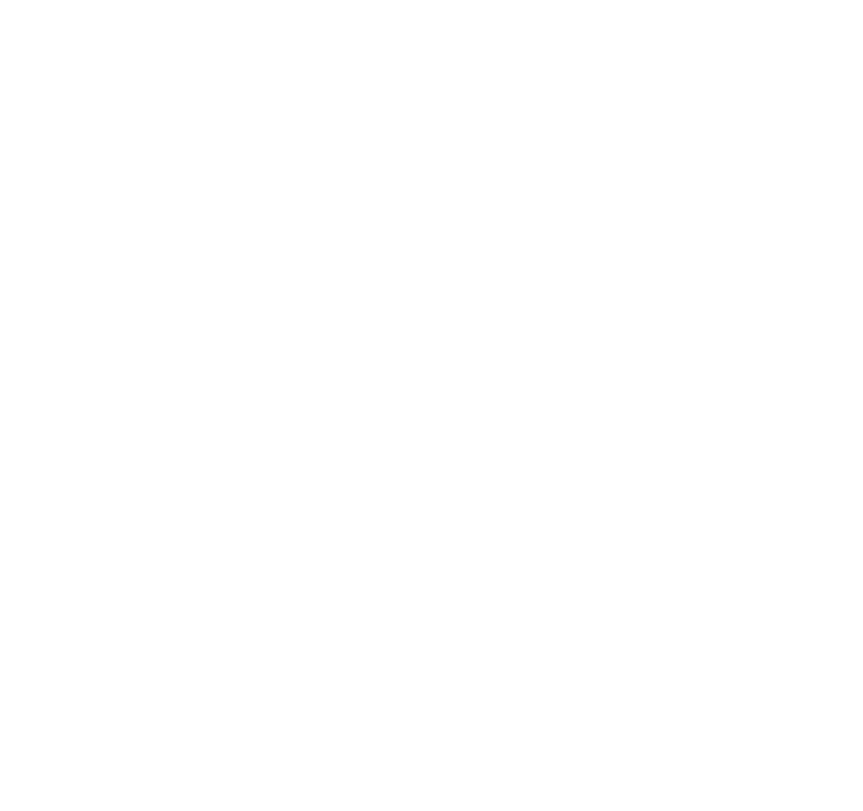 mitigate risks